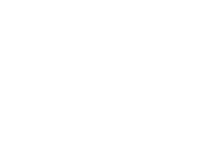 Evolution games at Slots Ninja Casino
